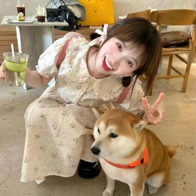 导演先生的完美假期